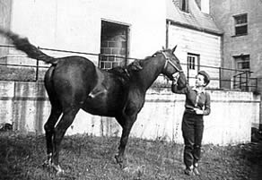 Jeanne and her horse